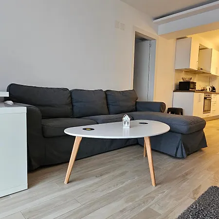 Central District Cuza 99 Apartment